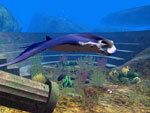 Underwater Nature 3D Screensaver