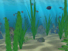 Water Life 3D ScreenSaver